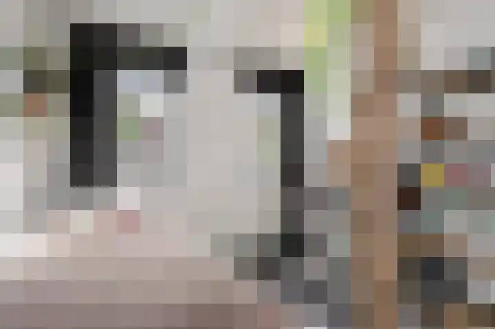 Daalstraat 38 Elsloo thumbnail 39