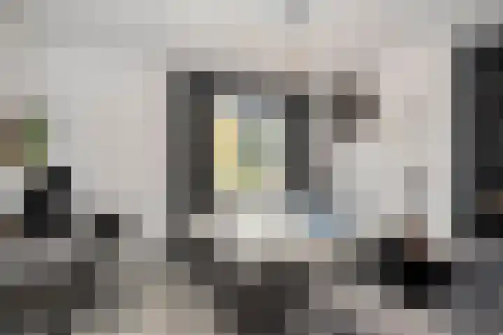 Daalstraat 38 Elsloo thumbnail 40