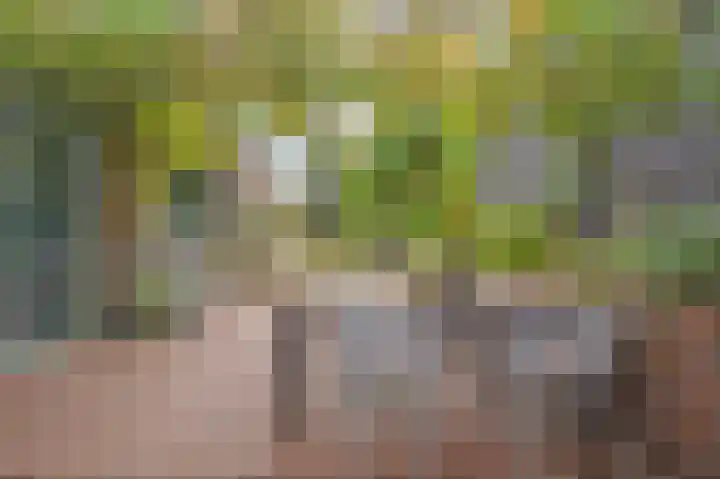 Daalstraat 38 Elsloo thumbnail 9