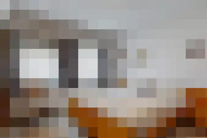 Daalstraat 47 Beek thumbnail 10