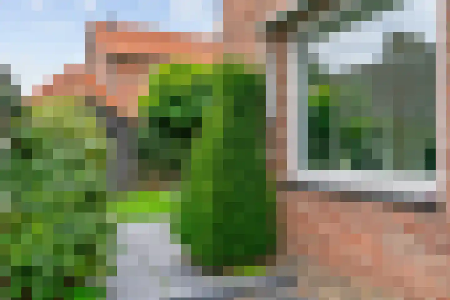 Daalstraat 47 Beek thumbnail 40