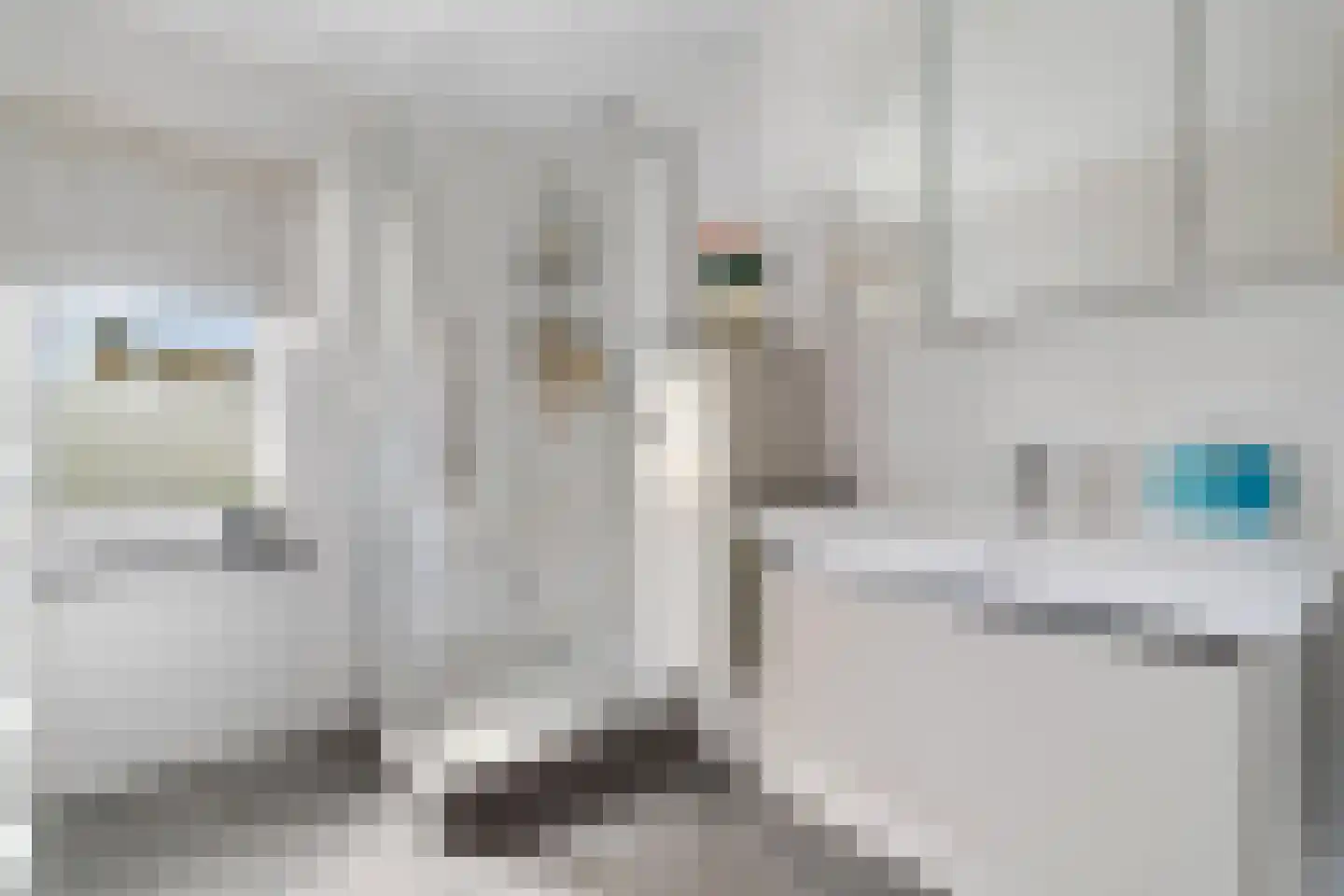 Daalstraat 53 Geleen thumbnail 13