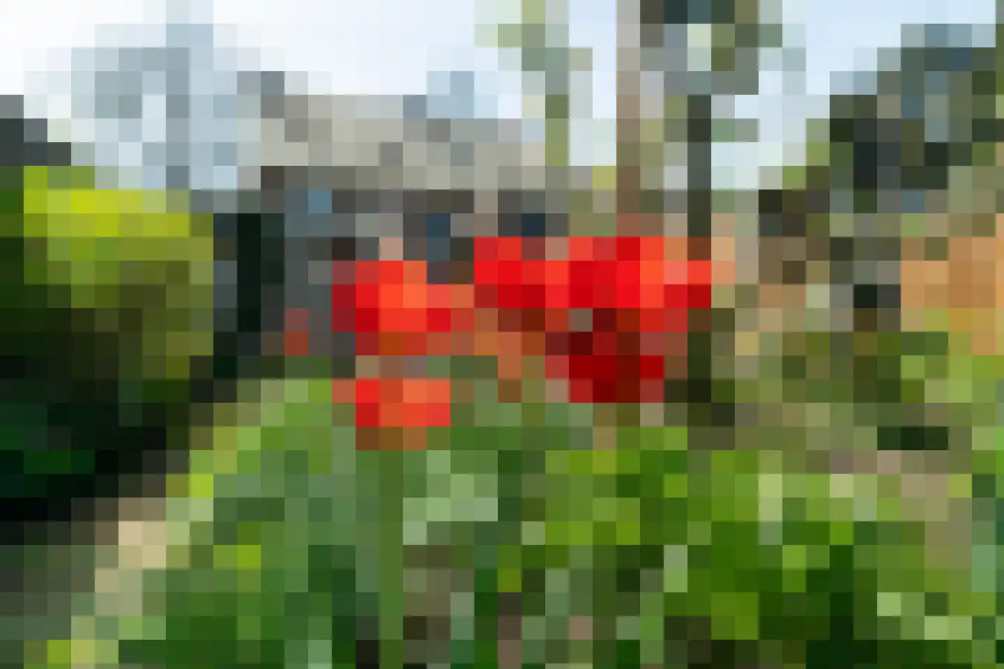 Daalstraat 53 Geleen thumbnail 24