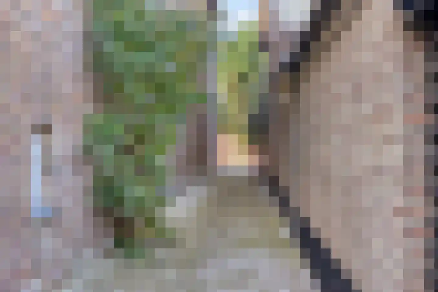 Daalstraat 6 Beek thumbnail 10
