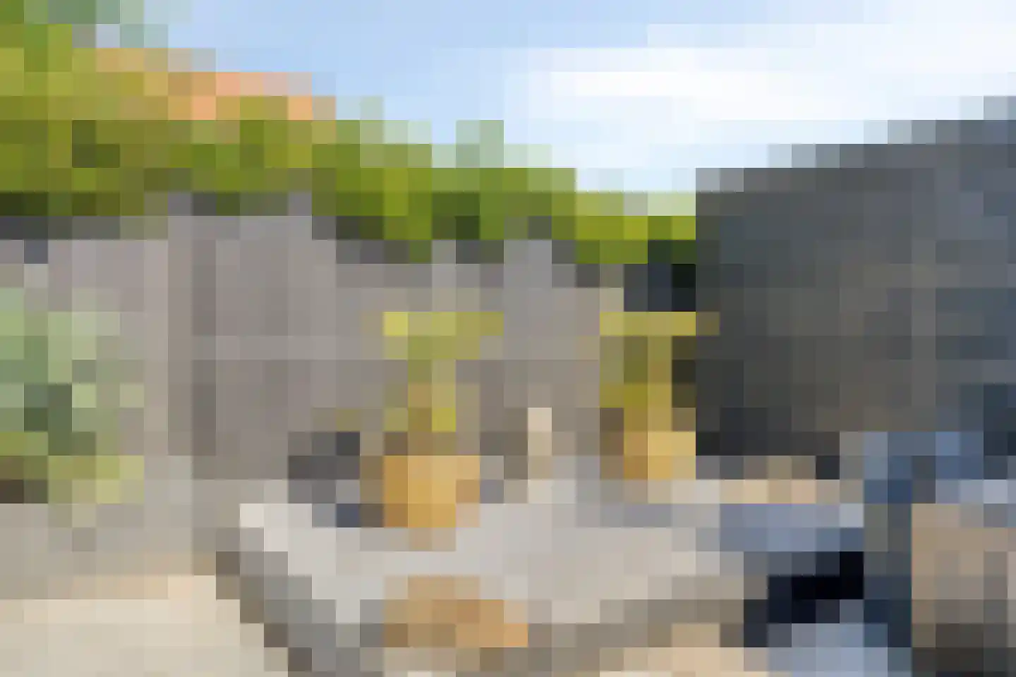 Daalstraat 6 Beek thumbnail 54