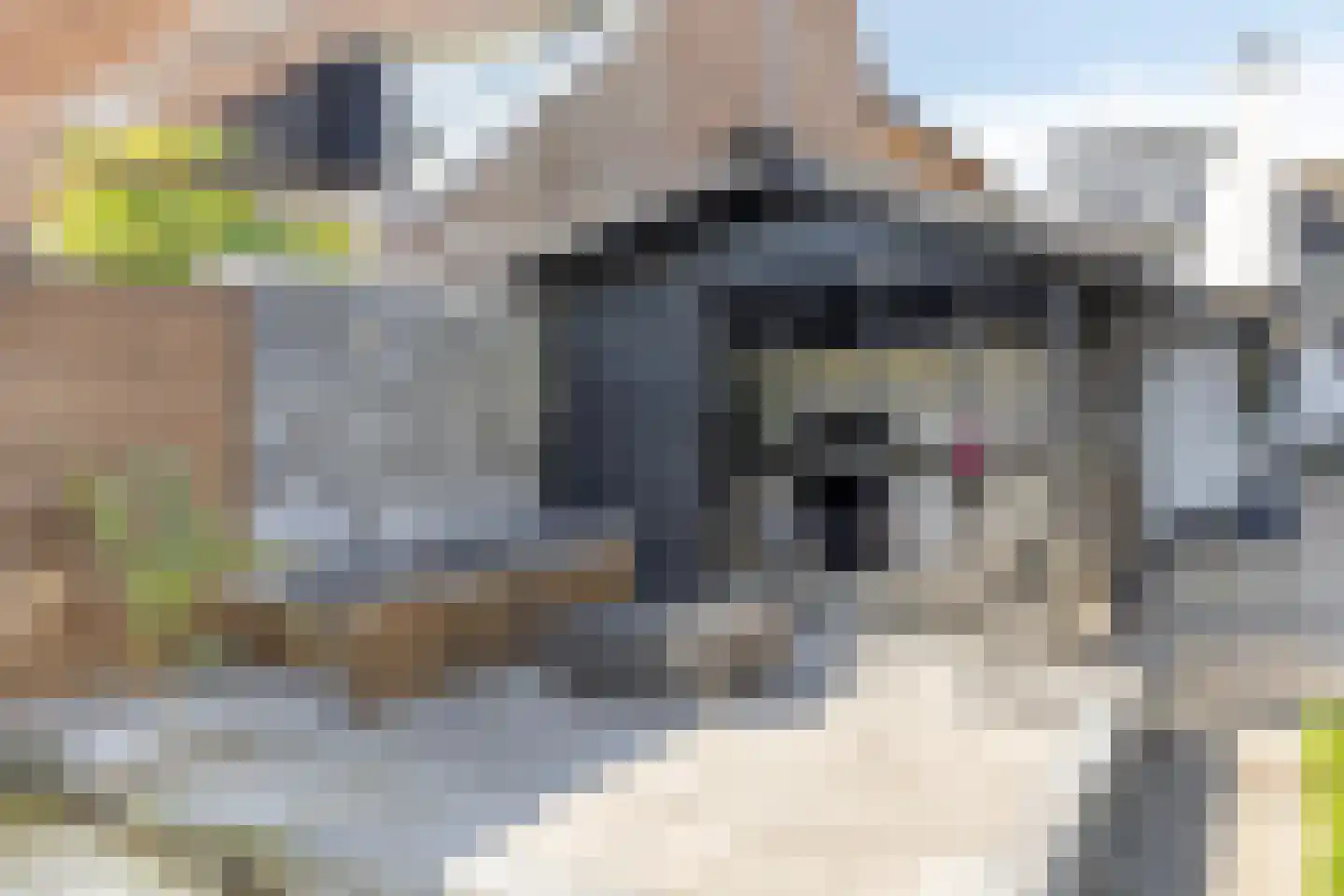 Daalstraat 6 Beek thumbnail 59
