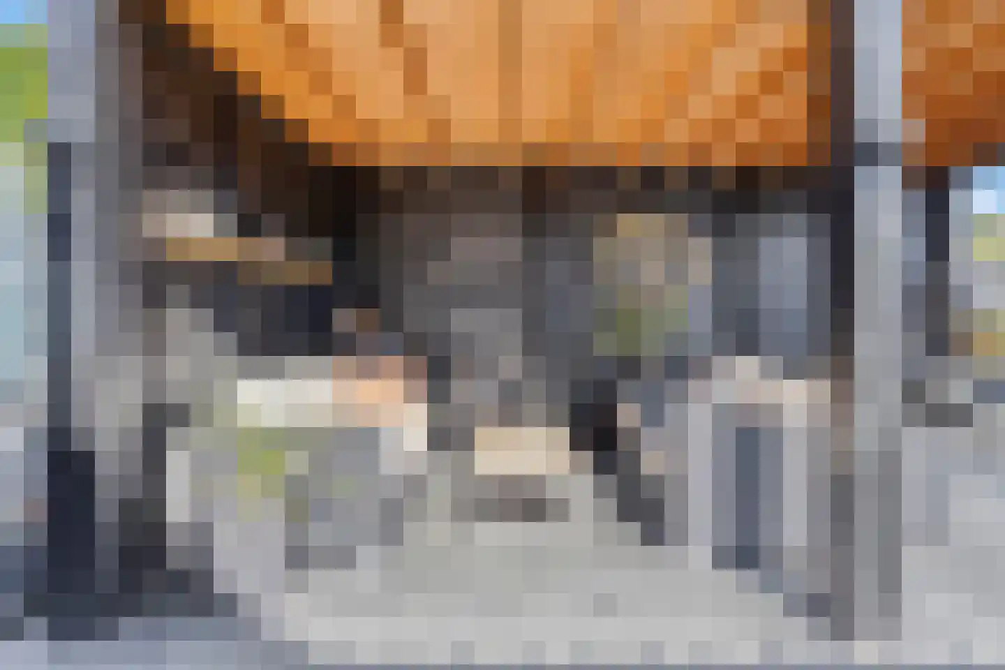Daalstraat 6 Beek thumbnail 62