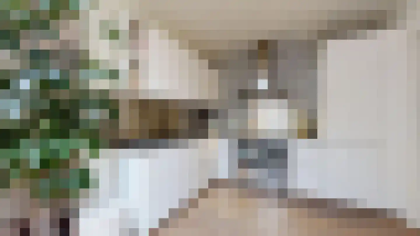Daalstraat 91 Geleen thumbnail 12