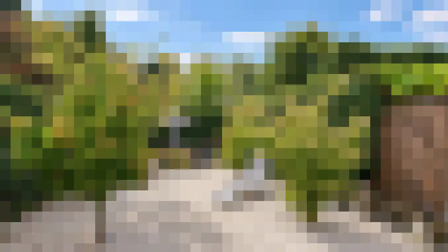 Daalstraat 91 Geleen thumbnail 31