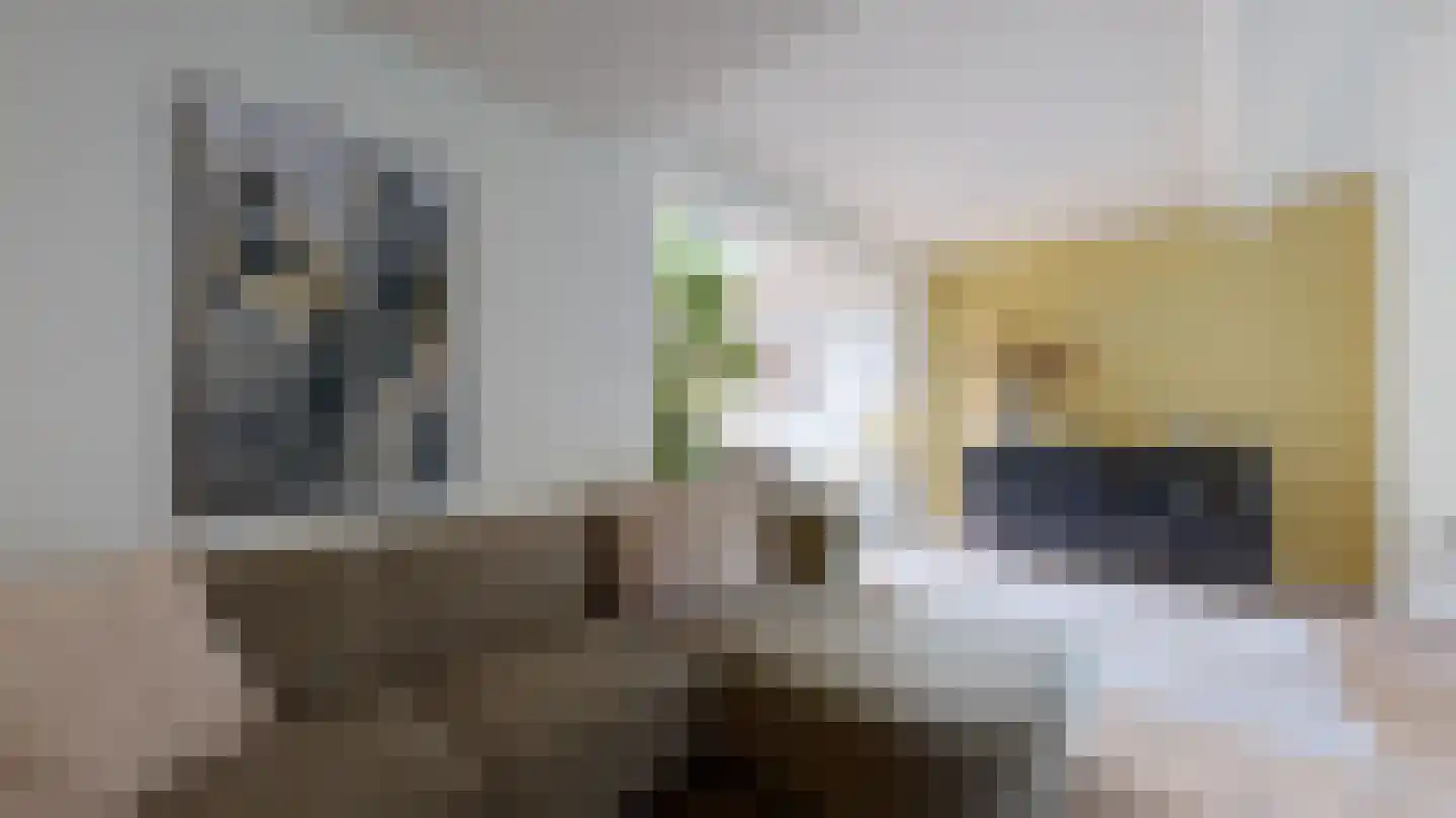 Daalstraat 91 Geleen thumbnail 6