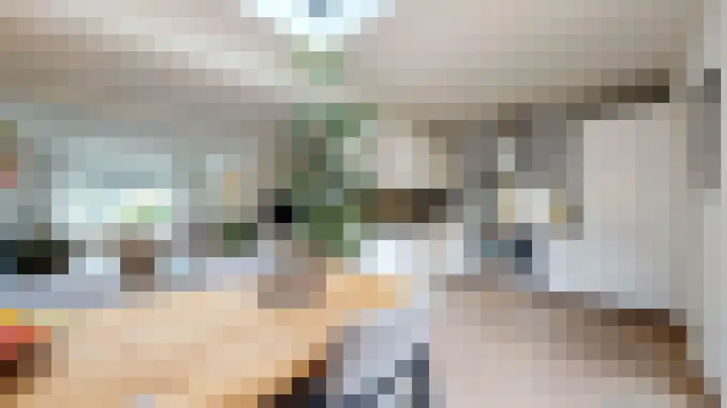 Daalstraat 91 Geleen thumbnail 8