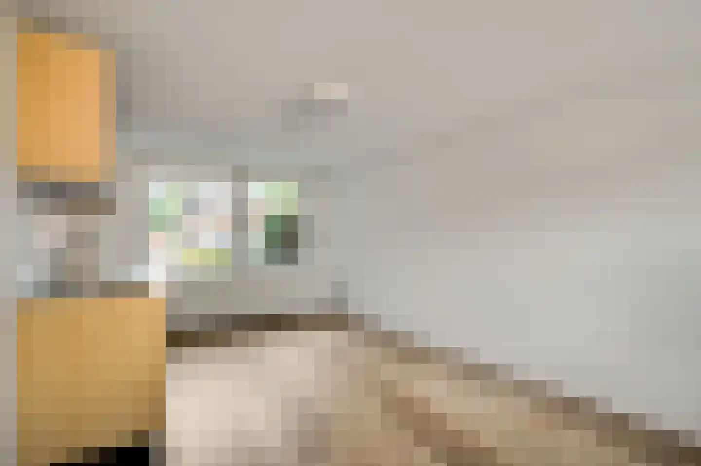 Daalzicht 10 Heel thumbnail 26