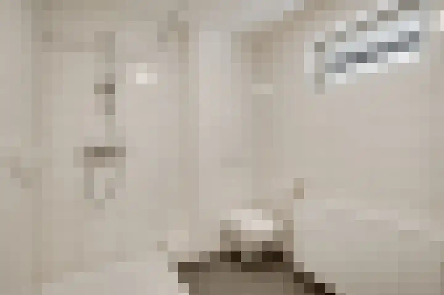 Daalzicht 10 Heel thumbnail 35