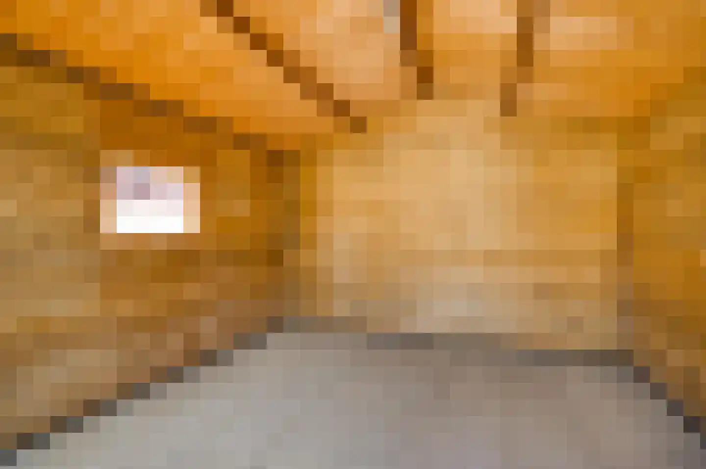 Daalzicht 10 Heel thumbnail 42
