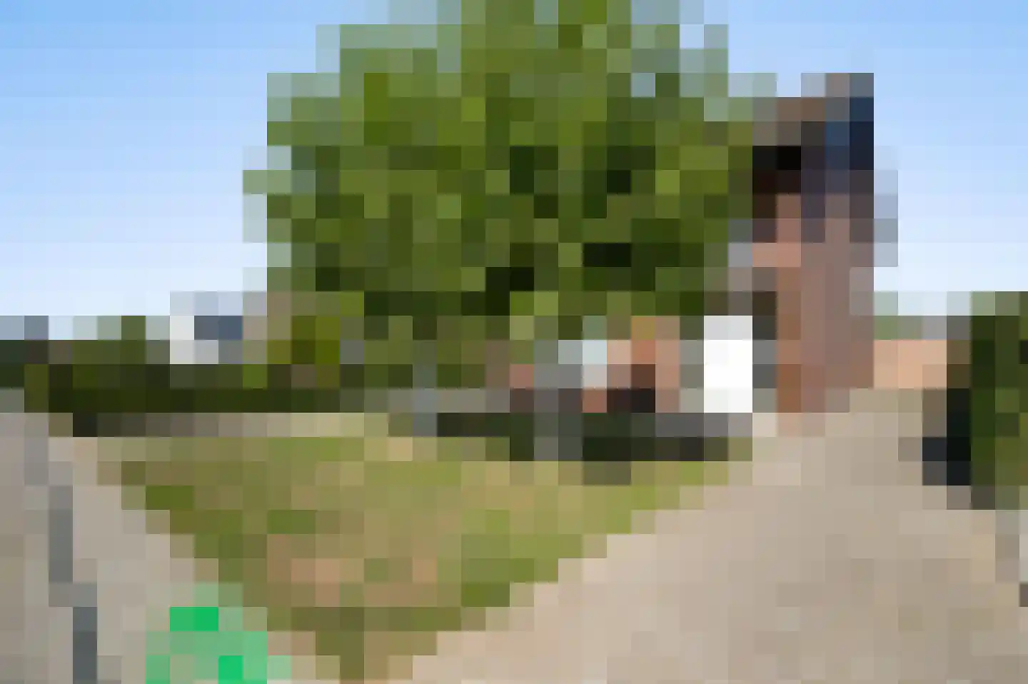 Daalzicht 10 Heel thumbnail 52