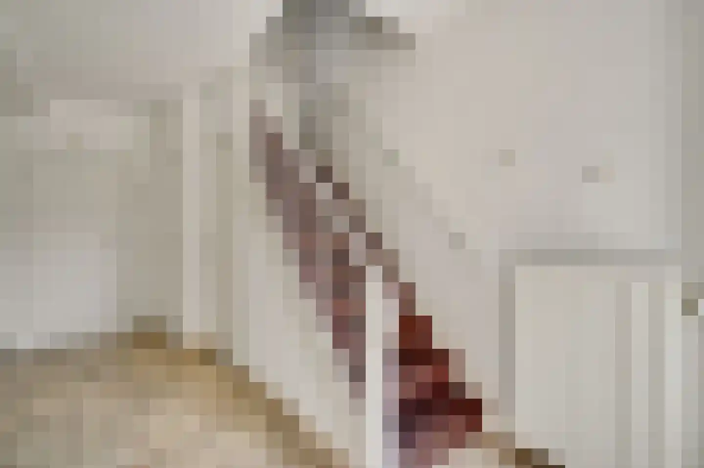 Daalzicht 10 Heel thumbnail 6