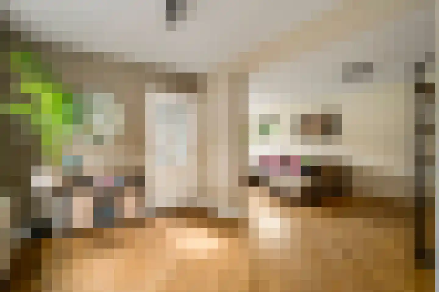 Daalzicht 8 Heel thumbnail 12