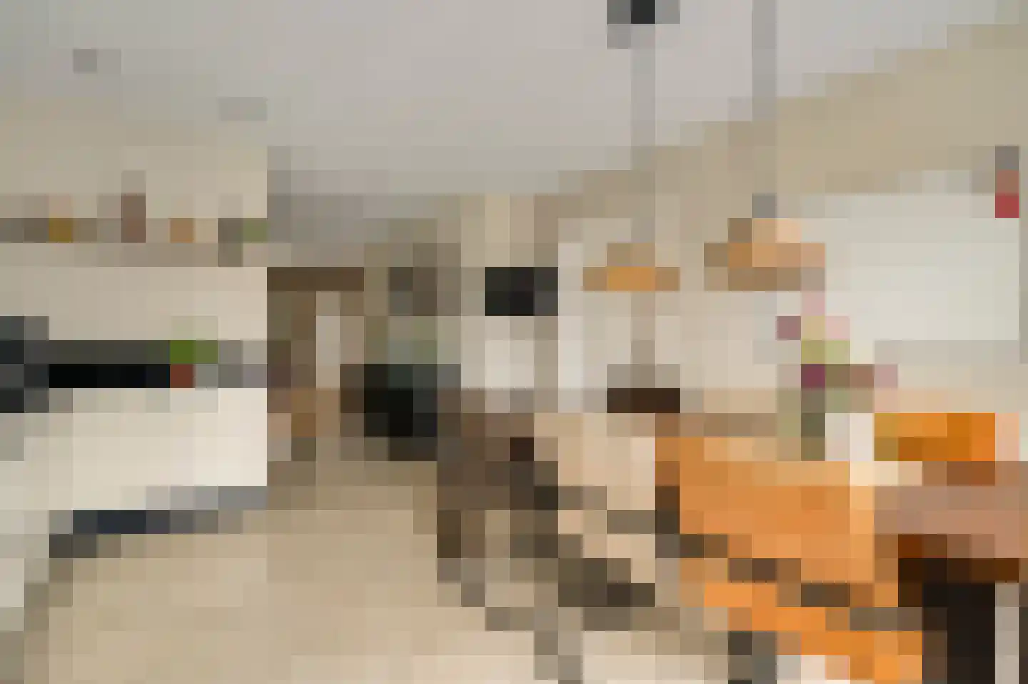 Daalzicht 8 Heel thumbnail 17