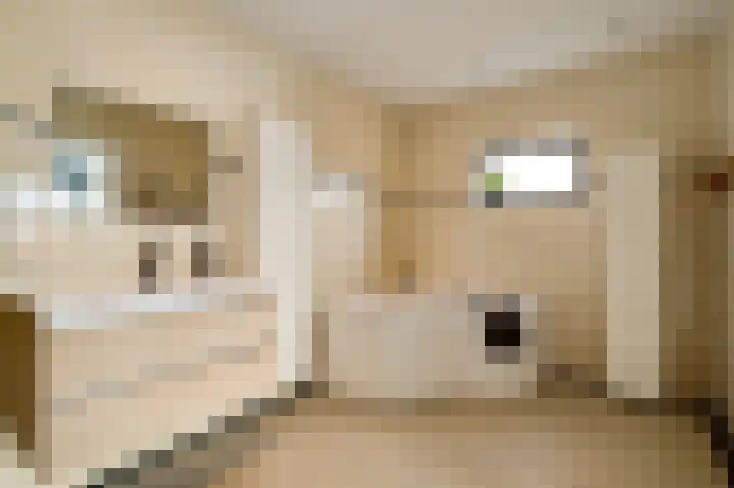 Daalzicht 8 Heel thumbnail 22