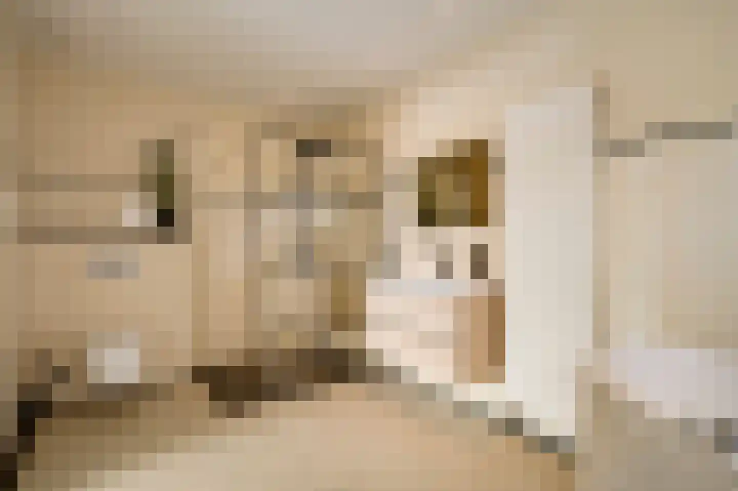 Daalzicht 8 Heel thumbnail 23