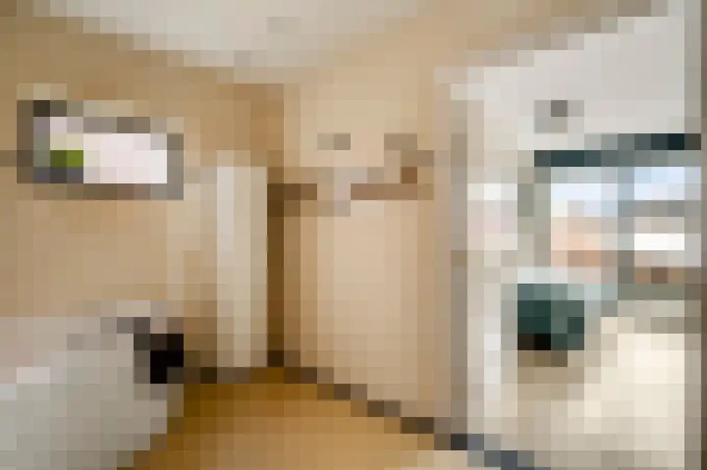 Daalzicht 8 Heel thumbnail 24