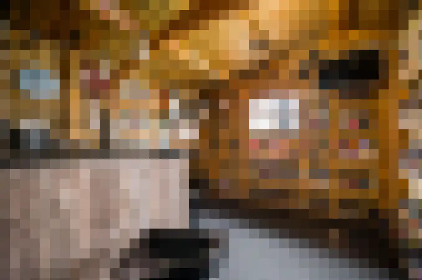 Daalzicht 8 Heel thumbnail 29