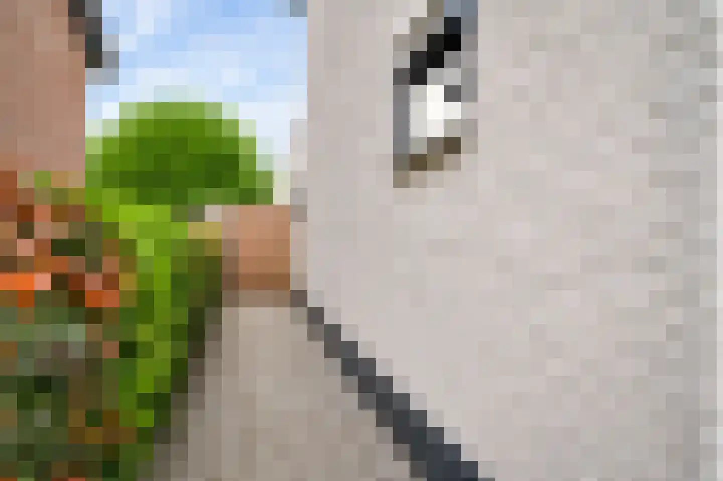 Daalzicht 8 Heel thumbnail 30