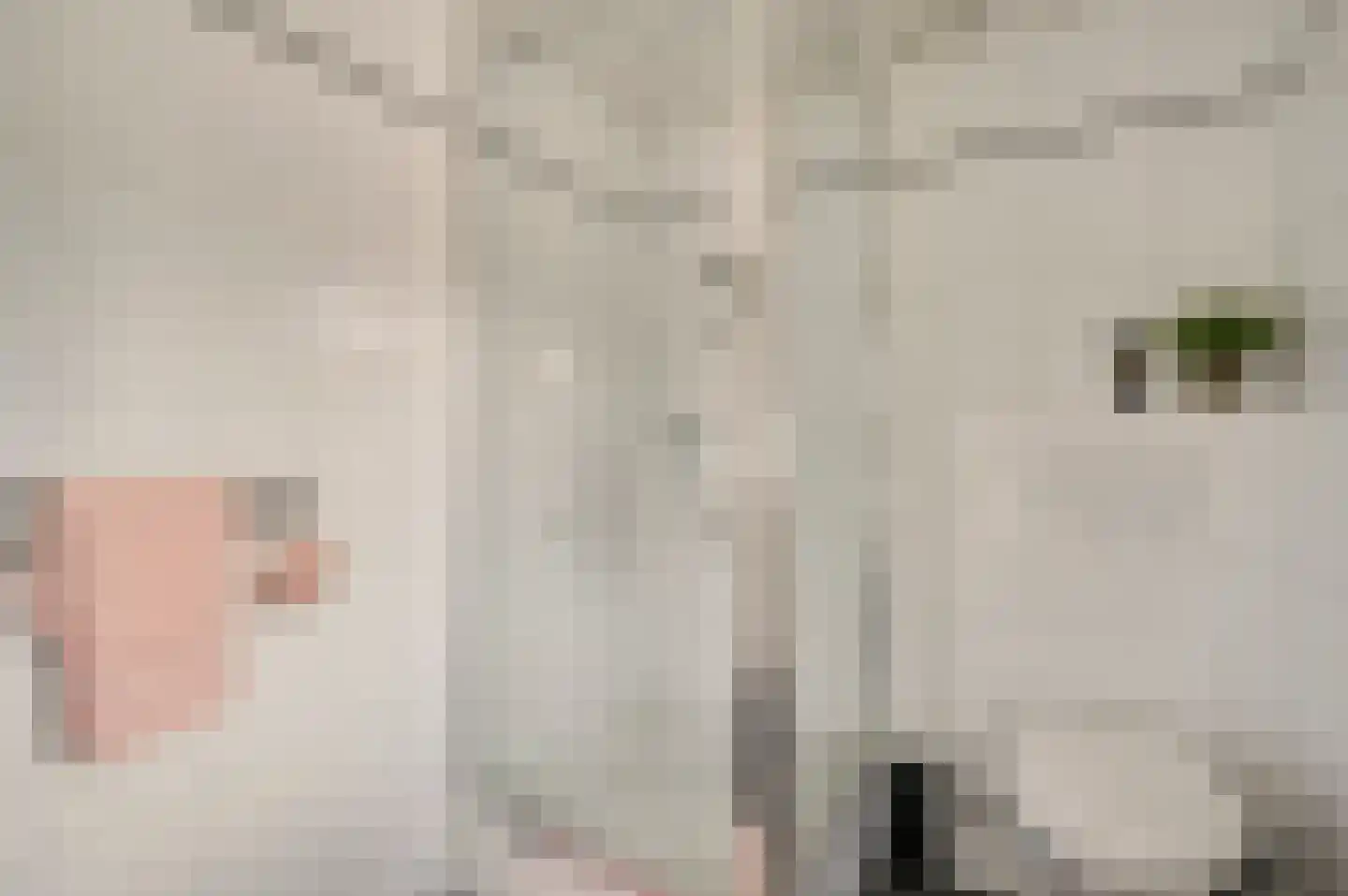 Daalzicht 8 Heel thumbnail 45