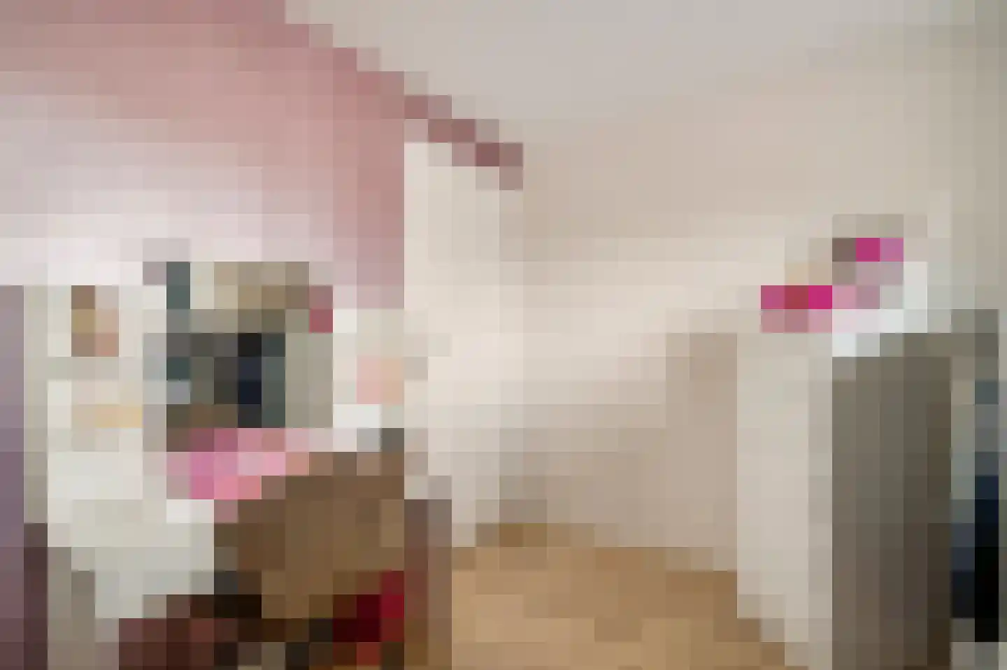 Daalzicht 8 Heel thumbnail 49