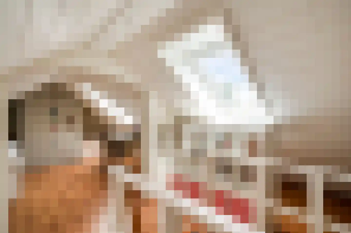 Daalzicht 8 Heel thumbnail 51