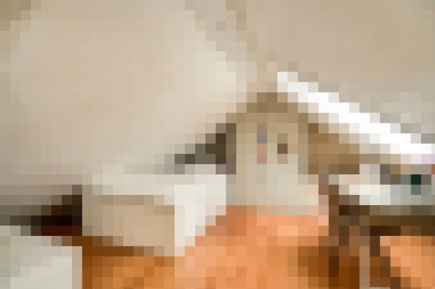 Daalzicht 8 Heel thumbnail 53