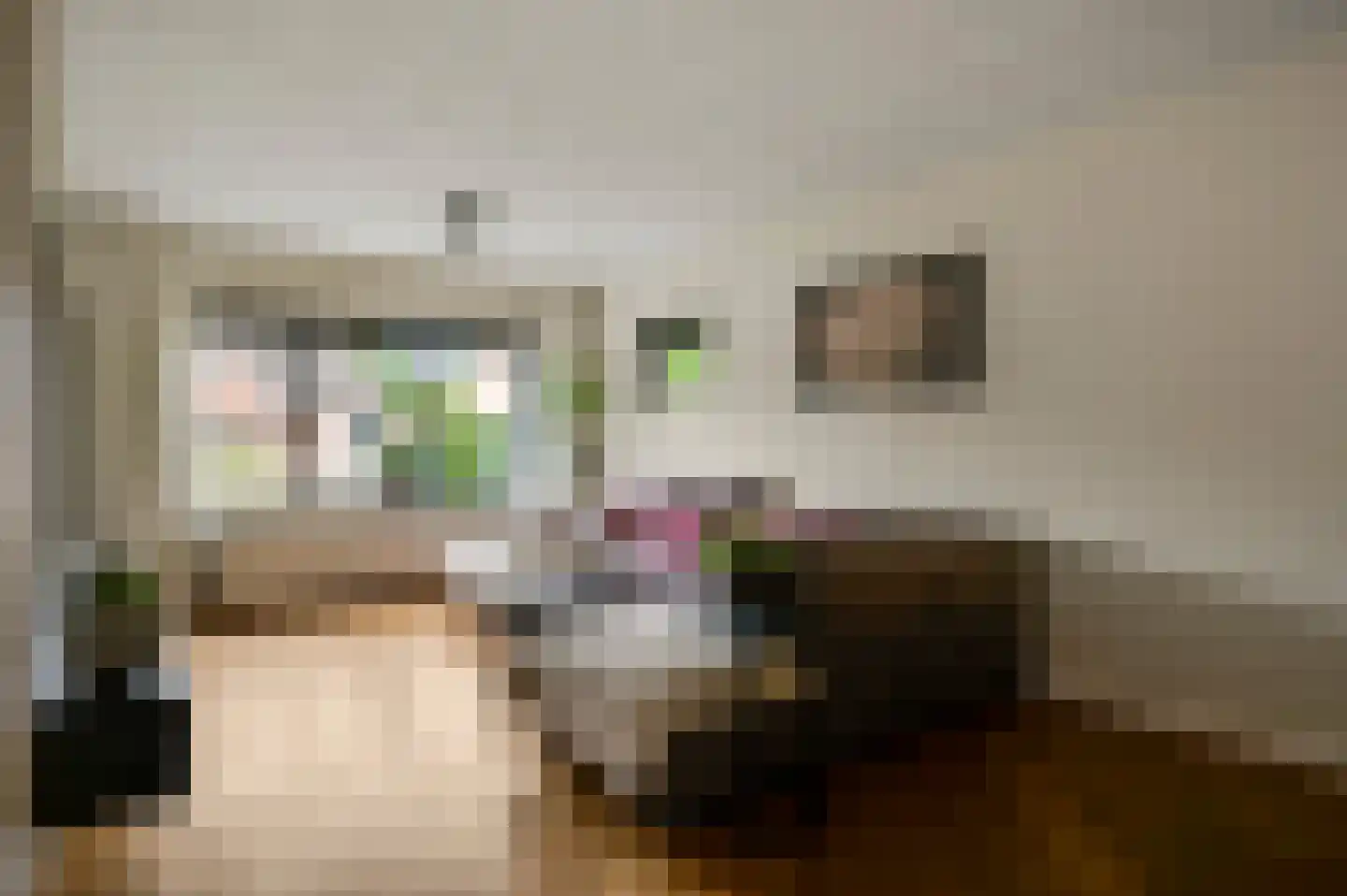 Daalzicht 8 Heel thumbnail 8