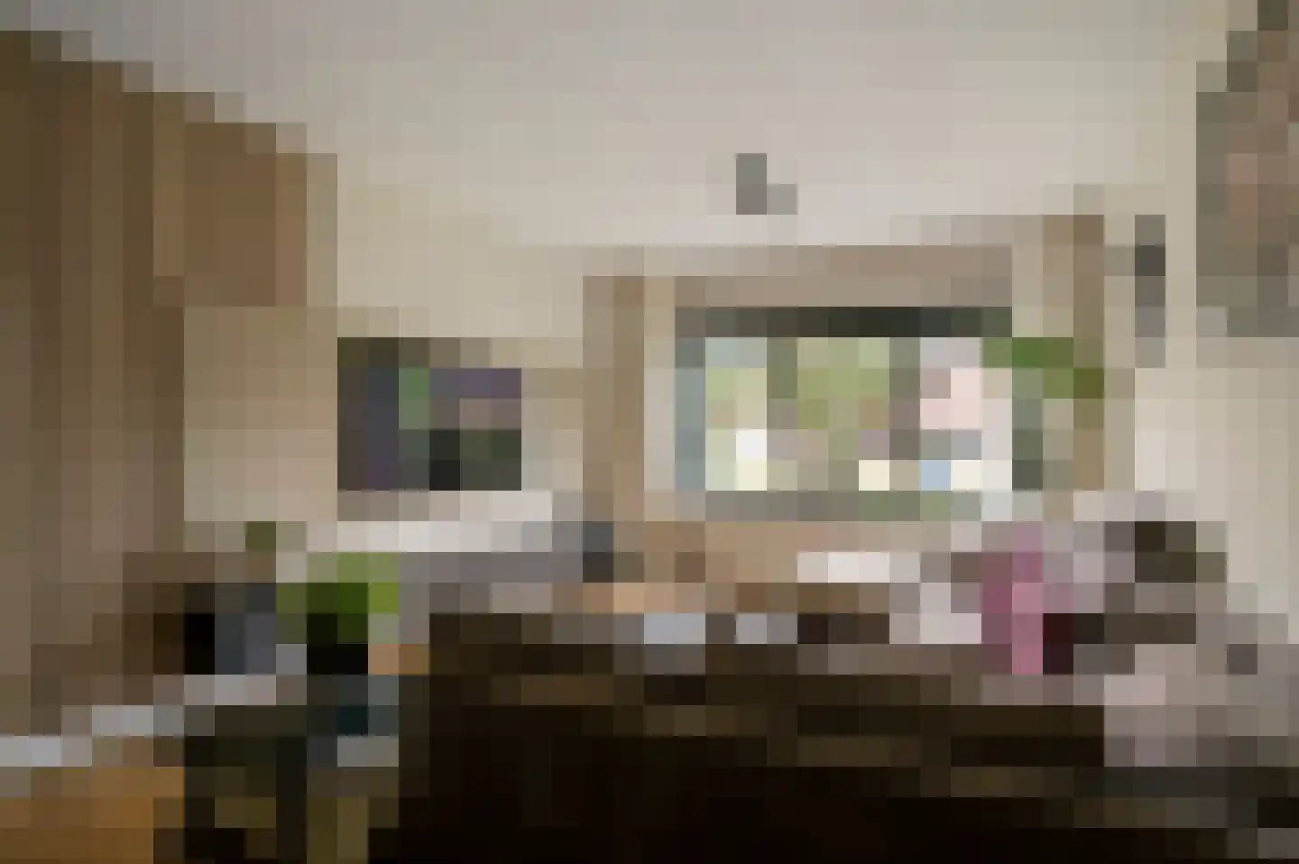 Daalzicht 8 Heel thumbnail 9