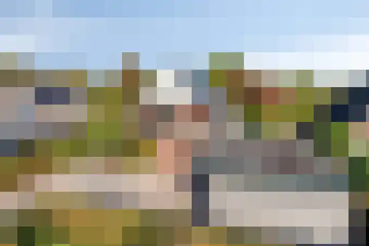 Daamenstraat 4 Leuth thumbnail 16