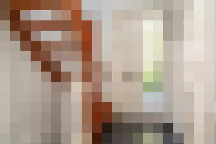 Daamenstraat 4 Leuth thumbnail 32