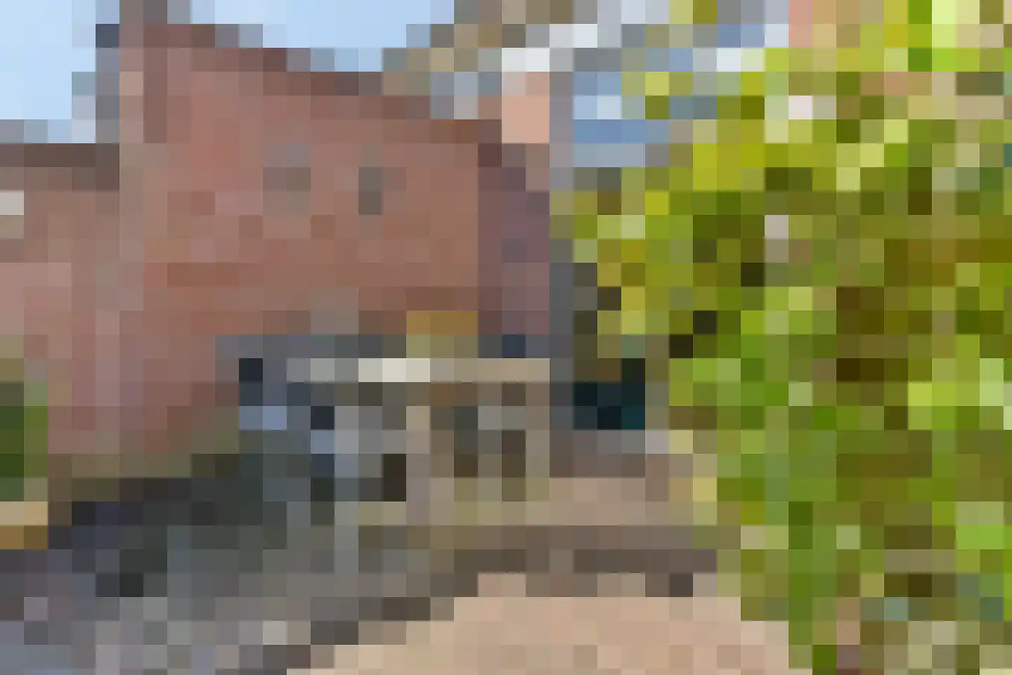 Daan Brouwerlaan 11 Hooglanderveen thumbnail 31