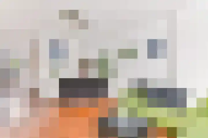 Daan Brouwerlaan 26 Hooglanderveen thumbnail 14