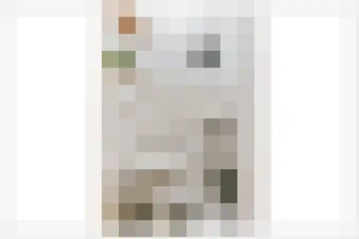 Daan Brouwerlaan 26 Hooglanderveen thumbnail 20