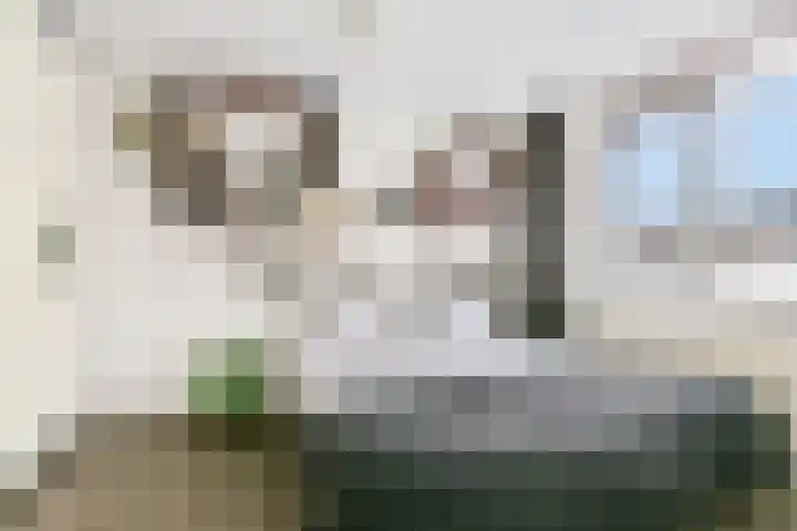 Daan Brouwerlaan 26 Hooglanderveen thumbnail 22
