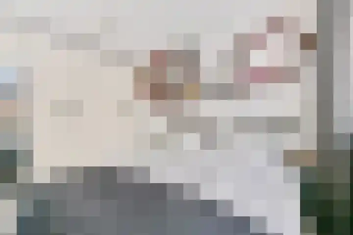 Daan Brouwerlaan 26 Hooglanderveen thumbnail 24