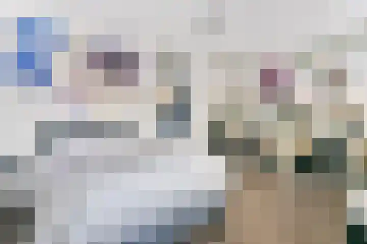 Daan Brouwerlaan 26 Hooglanderveen thumbnail 27