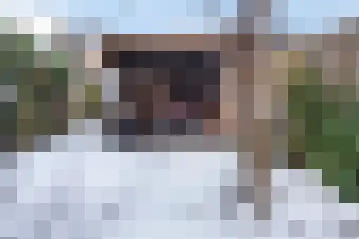 Daan Brouwerlaan 26 Hooglanderveen thumbnail 32