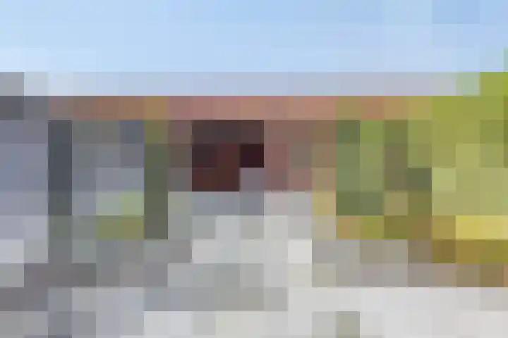 Daan Brouwerlaan 30 Hooglanderveen thumbnail 25
