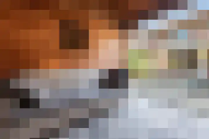 Daan Brouwerlaan 30 Hooglanderveen thumbnail 27