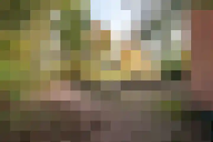 Daan Brouwerlaan 30 Hooglanderveen thumbnail 29