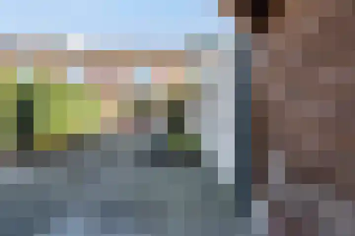 Daan Brouwerlaan 30 Hooglanderveen thumbnail 4