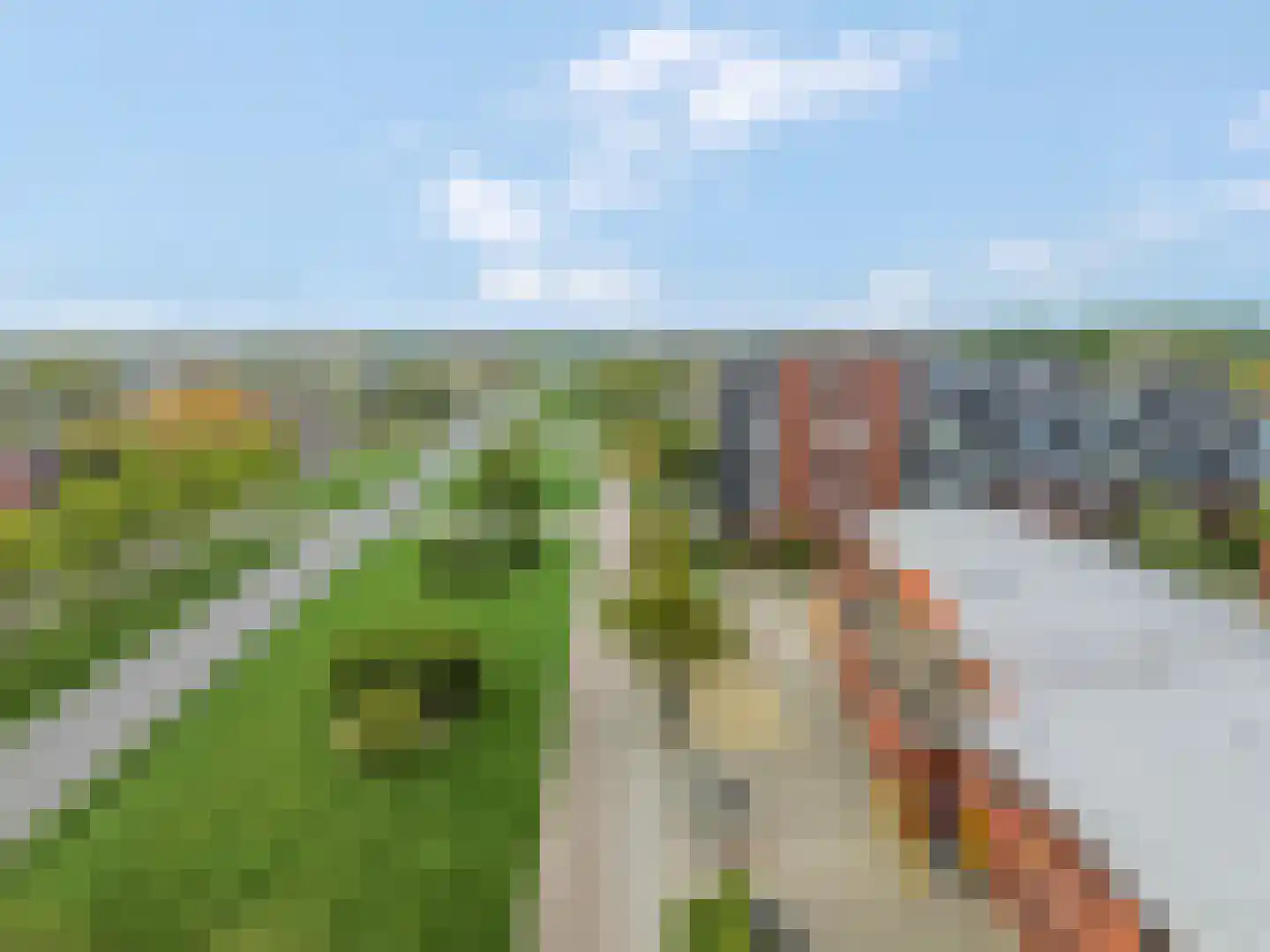 Daan Hoeksemastraat 115 Almere thumbnail 37