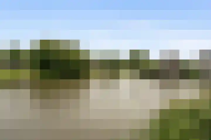 Daan Hoeksemastraat 119 Almere thumbnail 36