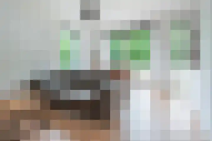 Daan Hoeksemastraat 7 Almere thumbnail 9