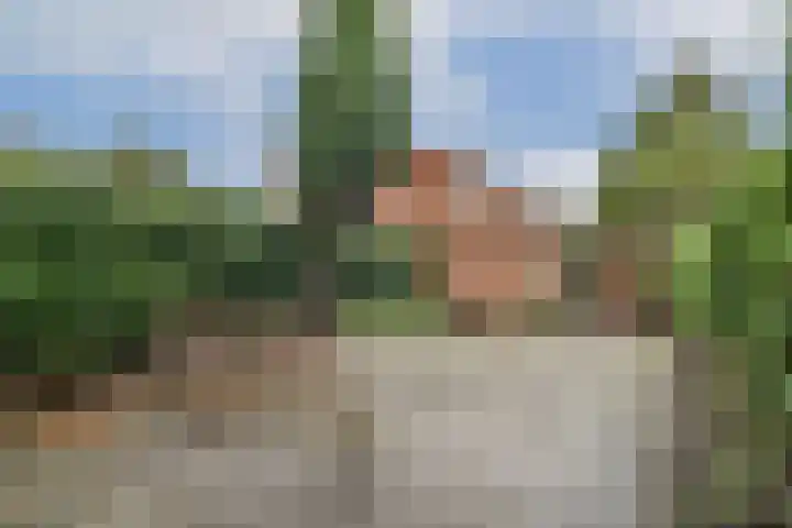 Daan Roodenburghplein 44 Amsterdam thumbnail 10